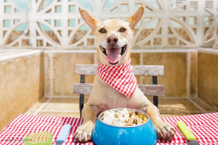Un cachorro alimentado de forma natural.