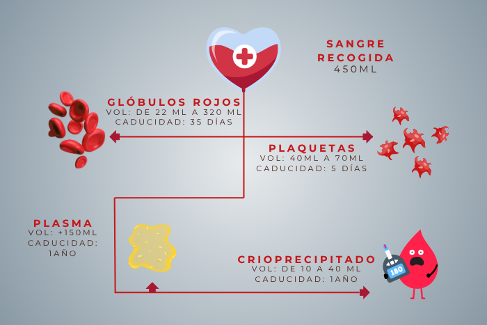 Flujo detallado de la reutilización de una bolsa de sangre donada, con información sobre hematíes, plaquetas, plasma y sangre crioprecipitada.
